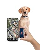 PAJ GPS Tracker für Hunde - 4G - Weglaufalarme + weltweite Live-Ortung - Akkusparmodus in...